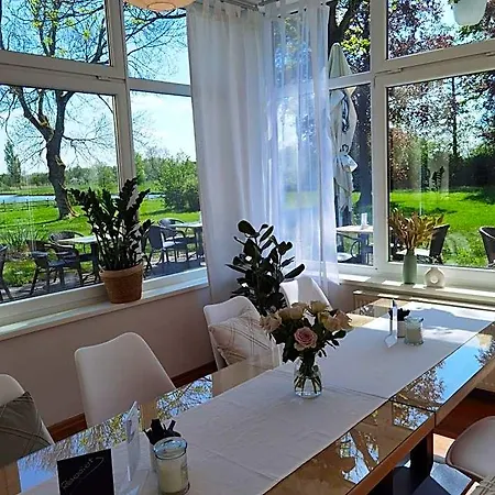 Stedinger & Cafe