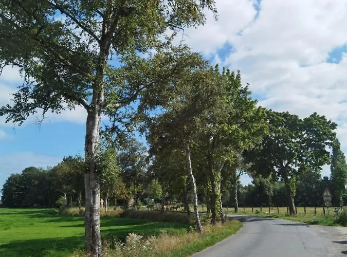 Stedinger & Cafe Berne