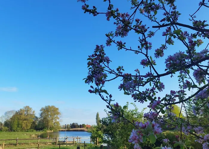 Stedinger & Cafe Berne